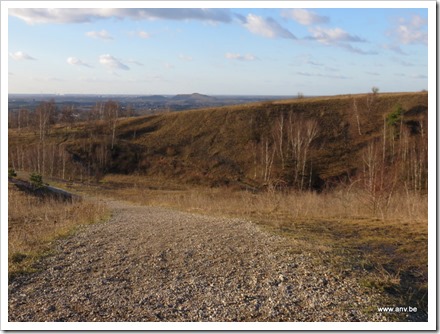 Terril Zolder, zicht op Beringen