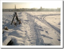 20 december - door de velden