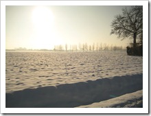 20 december - tegenlicht