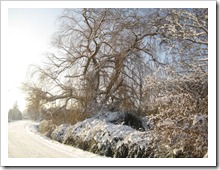 20 december - winterlandschap
