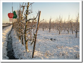 17 december - bestemming bijna bereikt: de appelautomaat :-)