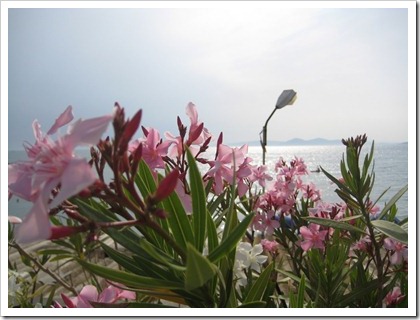 en plots lijkt de stad heel erg ver weg :-)