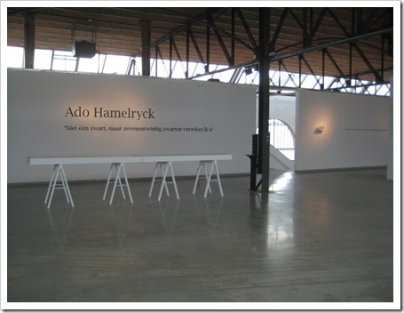  tentoonstelling Ado Hamelryck (foto 4)