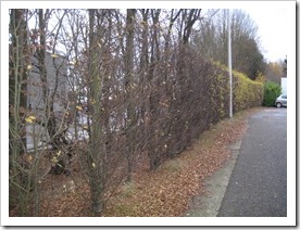 geluidsmuur 27 november